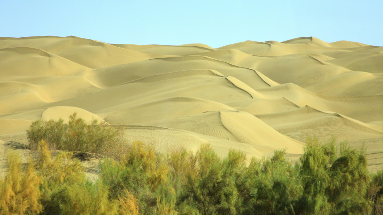 Изображение 756238