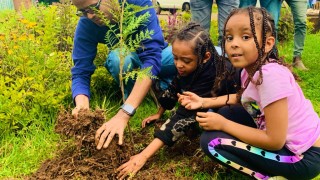 Наскоро група учени съобщиха че в следващите 10 години човечеството