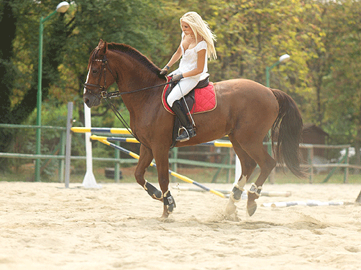 Катя Дунева спечели европейския турнир по конен спорт