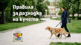Столичният инспекторат напомня на стопаните правилата за разходка на кучета в градска среда
