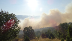 Пожар изпепели 5 декара гора над Хисаря