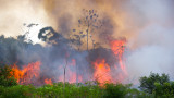  Рекорден брой пожари в амазонската джунгла в Бразилия 
