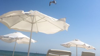 Услугите на туроператорски фирми използват общо малко над 10 от