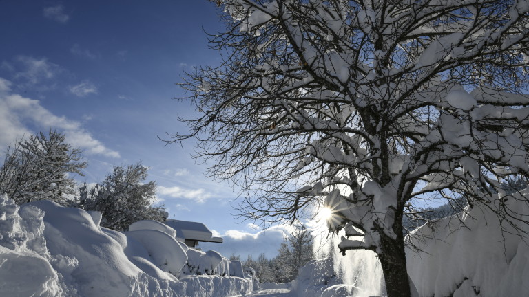 Изображение 399738