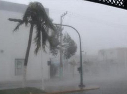 124 жертви на урагана Ида в Салвадор 