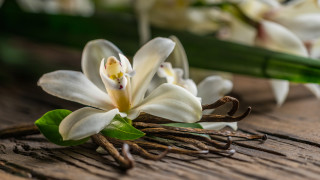 Ванилията както повечето наистина международни култури кръстосва целия свят Но