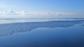 Две нови научни изследвания публикувани в научното списание Nature предупреждават