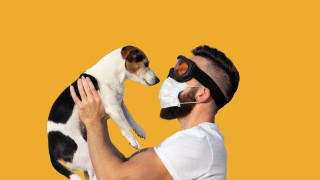 В самия край на февруари Департаментът по земеделие риболов и