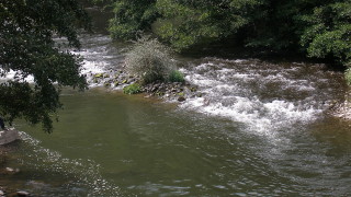 Река Огоста излезе от коритото си съобщава БНР Близо 50 литра