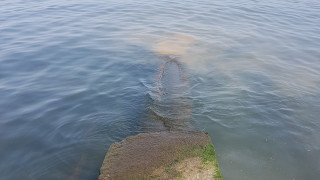 Прокуратурата се е с данни за незаконно извеждане на битови