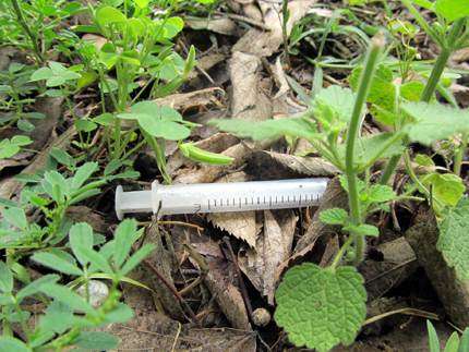 Спира лечението на наркозависимите от 1 юни