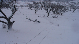 Възстановиха електрозахранването в Североизточна България