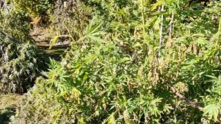 Прокурори обвиниха и поискаха 72 часов арест на съобщиха от