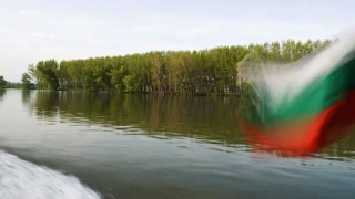 Белият Дунав, зелените острови и птиците от Червената книга