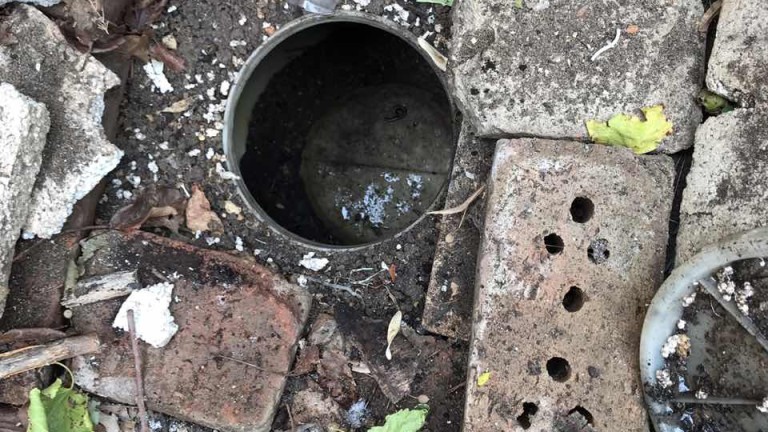 Изображение 322239