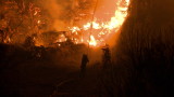 Критично остава положението с пожарите на гръцкия остров Евбея