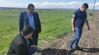 МЗХ обещава да изплати максимално бързо обезщетения за градушката в Южна България