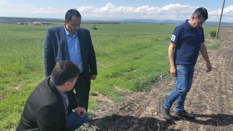 МЗХ обещава да изплати максимално бързо обезщетения за градушката в Южна България