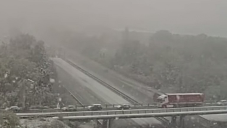 Обилен сняг хвърли Франция в хаос, мъж убит от дърво