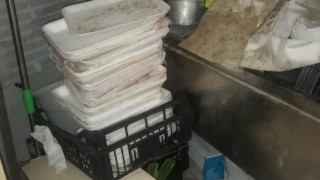 Управителният съвет на Фонд Социална закрила одобри финансирането на проекти