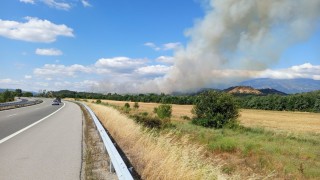 Близо 2000 декара сухи треви храсти и горски масив са