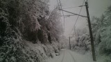 Железниците работят нормално при зимни условия