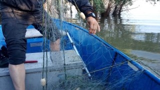 6 броя немаркирани хрилни мрежи с приблизителна обща дължина 400