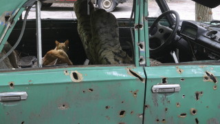 Извършиха покушение срещу назначения от Русия ръководител на окупирания Мелитополски