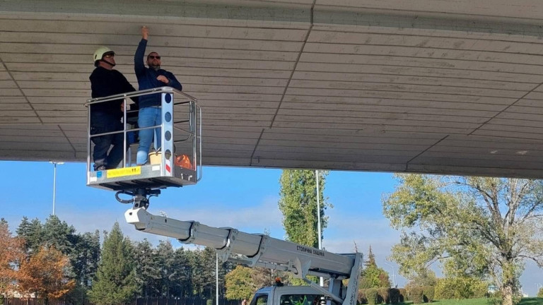 Изображение 736639