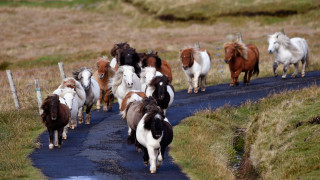 През последните седмици повече от всякога четем за непознати места