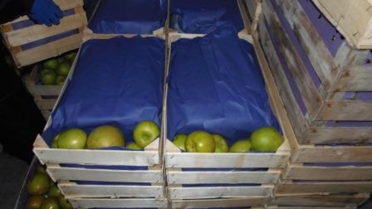 Изображение 287239