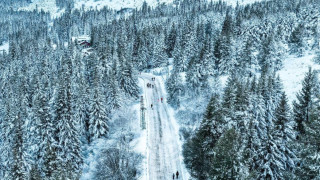 Столична община временно ще затвори пътищата в посока Алеко и
