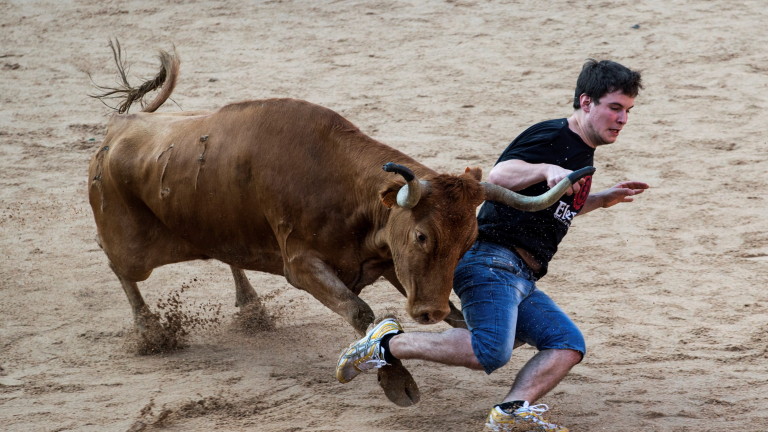 Активисти за правата на животните излязоха на протест срещу надбягването с бикове в Испания