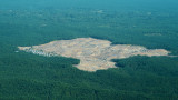  500 000 кв. км гори унищожени за десетилетие от огромните хранителни компании 