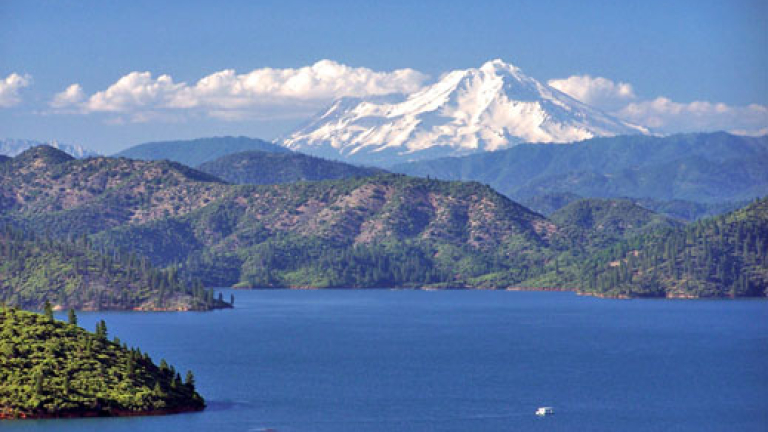 Изображение 18539