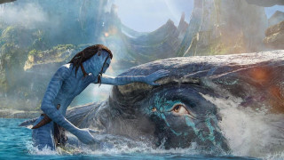 Аватар Природата на водата е може би най чаканото продължение на