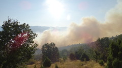 Неизгасено барбекю причини пожар в борова гора в Невестино