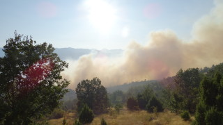 Неизгасено барбекю предизвика пожар в района на община Невестино съобщава