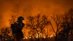 Мълния предизвика горски пожар в Ростовска област