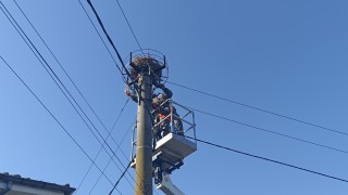 Електромонтьори от ЕРП Север помогнаха на щъркелова двойка в село