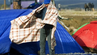 Европа се унижи, убеден Огнян Минчев