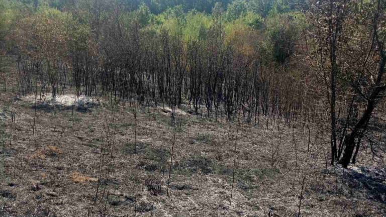 Частично бедствено положение обявиха в община Чепеларе. 
Втори ден гори пожара