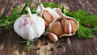 Нека направо да го кажем възможно е да засадим и