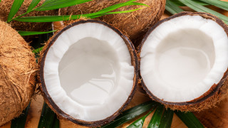 Кокосовата палма това екзотично често срещано в тропиците дърво