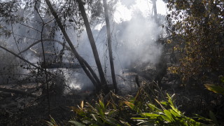 Повече от 300 души се издирват след пожарите в Чили 