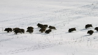 Един ловец е загинал през ловния сезон 2023 2024 след като