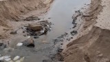 Сигнал за разорани дюни на плаж Каваците в община Созопол
