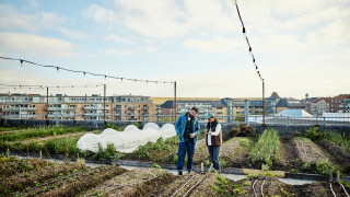 Докато градовете се сгъстяват климатичните предизвикателства се засилват а търсенето