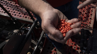 Вносът на американска соя в Китай не показва признаци на