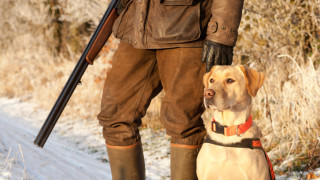 Ловно куче застреля стопанина си по време на лов в Русия